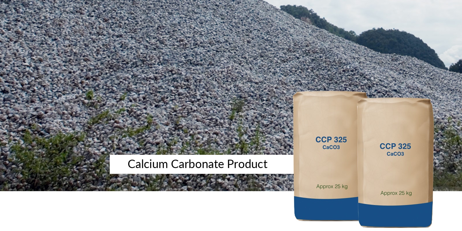 calcium carbonate powder